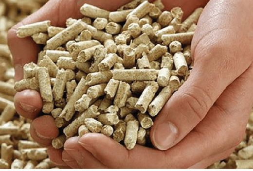 Todo lo que necesitas saber sobre el pellet
