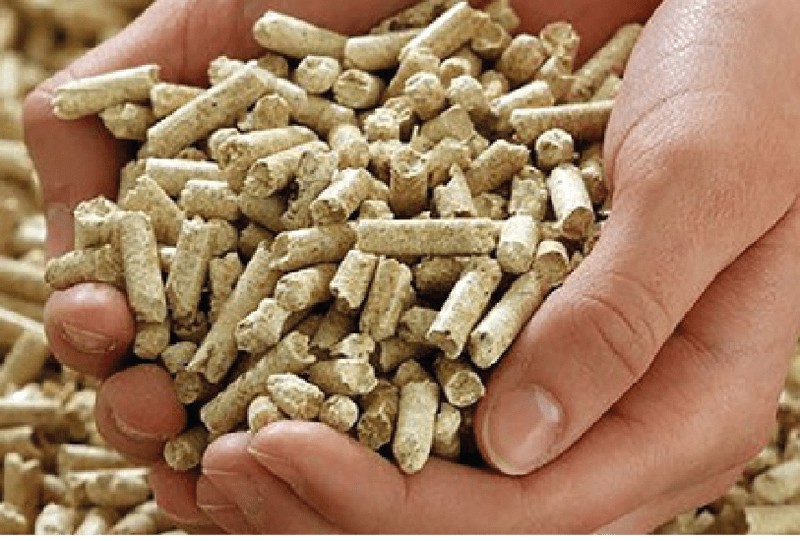 Everything you need to know about the pellet