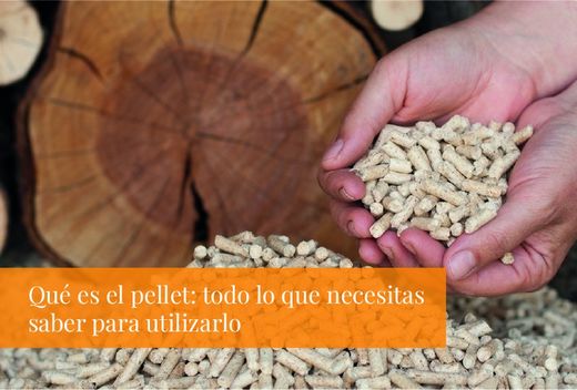 Qué es el pellet: todo lo que necesitas saber para utilizarlo
