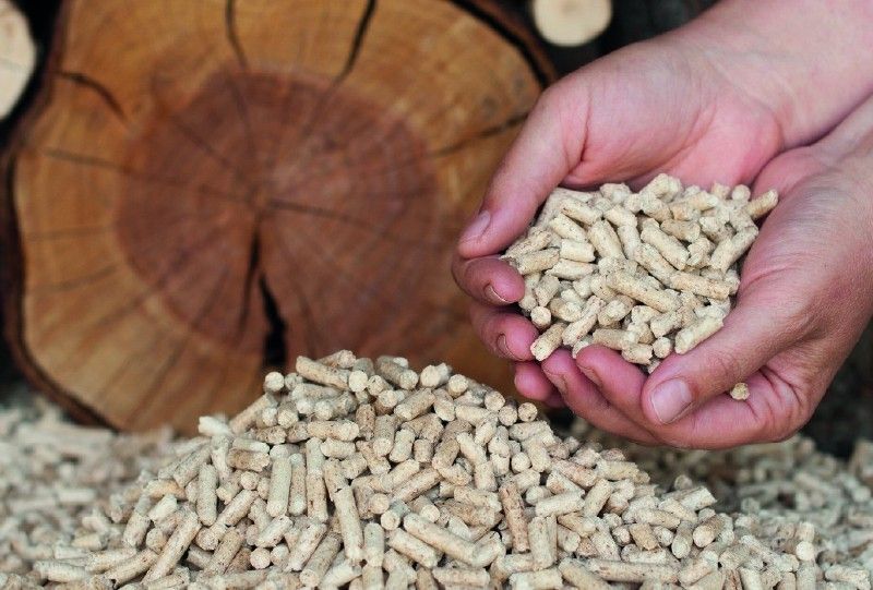 Was ist Pellet: Alles, was Sie wissen müssen, um es zu verwenden