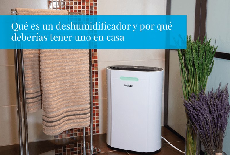 Qué es un deshumidificador y por qué deberías tener uno en casa