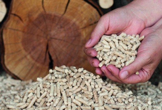 What is pellet: everything you need to know to use it