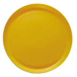 Conjunto de 24 pratos de plástico de 25cm Série Soleil
