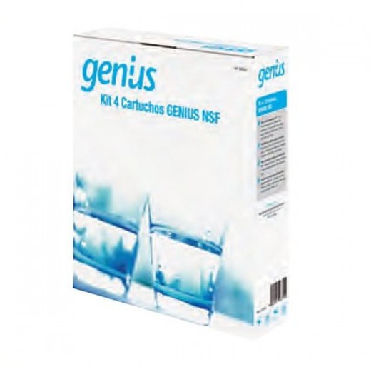 Kit di pezzi di ricambio NSF per osmosi Genius ATH 304230