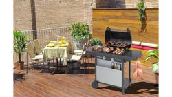 2-Flammen-Gasgrills Serie 2 Classic LX Vario Campingaz
