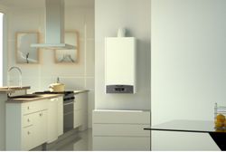 Caldera de condensación Ariston Clas One 24FF EU