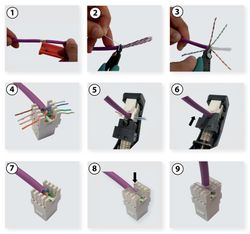 Conector RJ45 hembra - UTP Cat 6 para cables de datos
