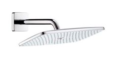 Ducha fija Raindance cromo Hansgrohe