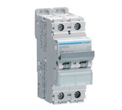 Interruptor automático magnetotérmico serie N 2P 6A curva D 10/15kA