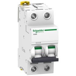 Magnetotérmico pia IC60N 2 polos 2A C Schneider electric