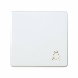 Pulsador con grabado luz blanco Simon 27 Play