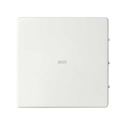Tecla individual con visor para Simon 75 blanco mate Simon 82 Concept